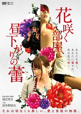 冒险电影《沙丘之外》高清在线观看